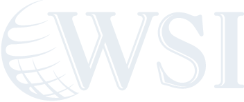 WSI Consultores